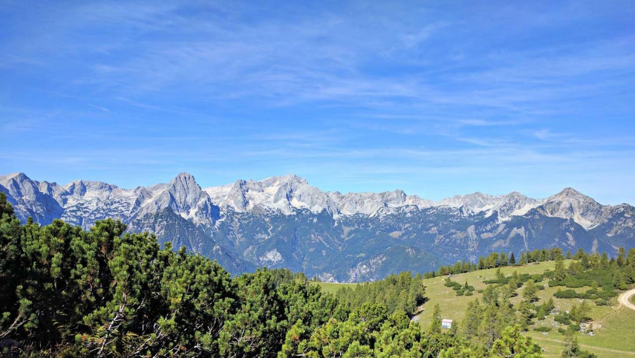 Ferienbungalow Mountain View Wood * Spital Am Pyhrn